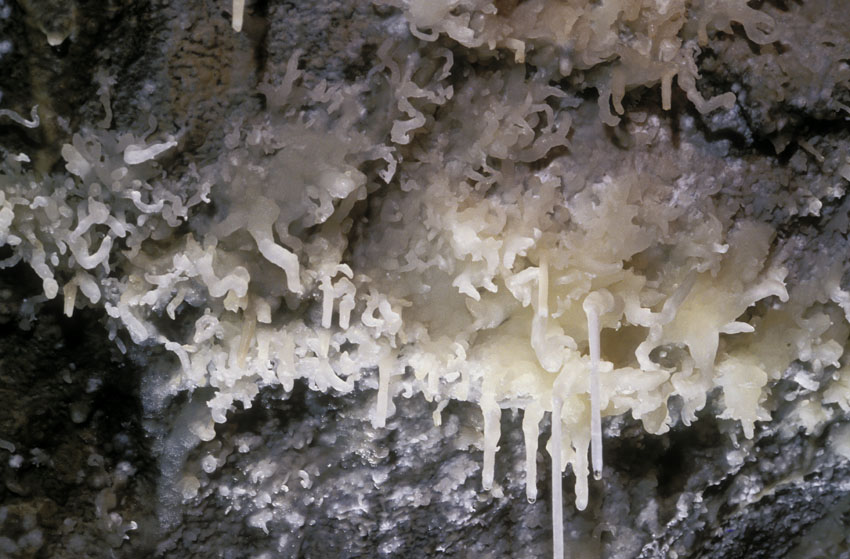 Basissystem Nirwana (3)