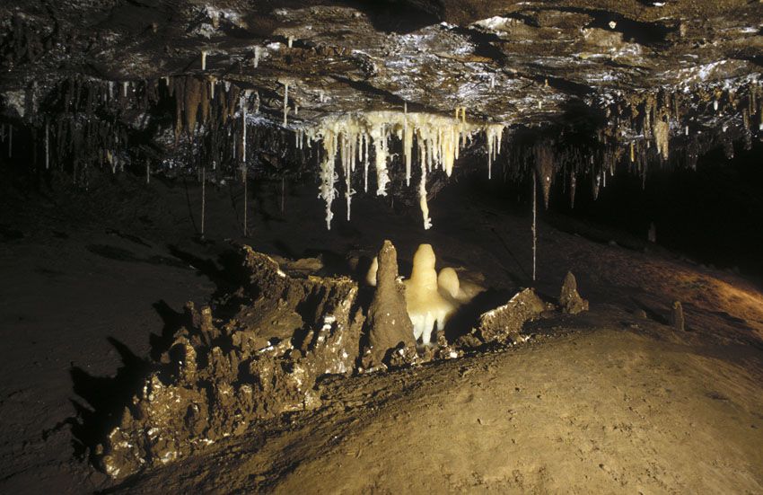 Basissystem 800 Galerie (5)